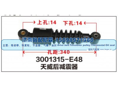 3001315-E48,天威后减震器,济南哈配尼森汽车配件有限公司