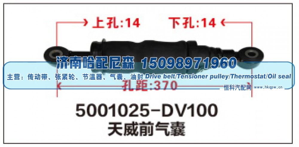 5001025-DV100,天威前气囊,济南哈配尼森汽车配件有限公司