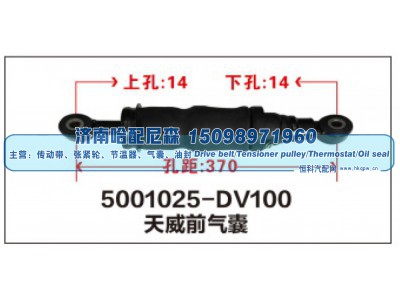 5001025-DV100,天威前气囊,济南哈配尼森汽车配件有限公司