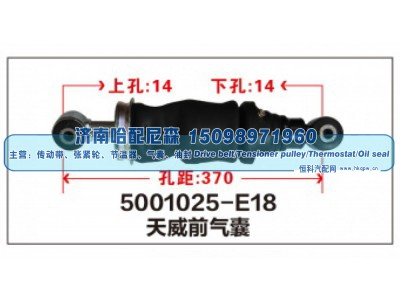 5001025-E18,天威前气囊,济南哈配尼森汽车配件有限公司