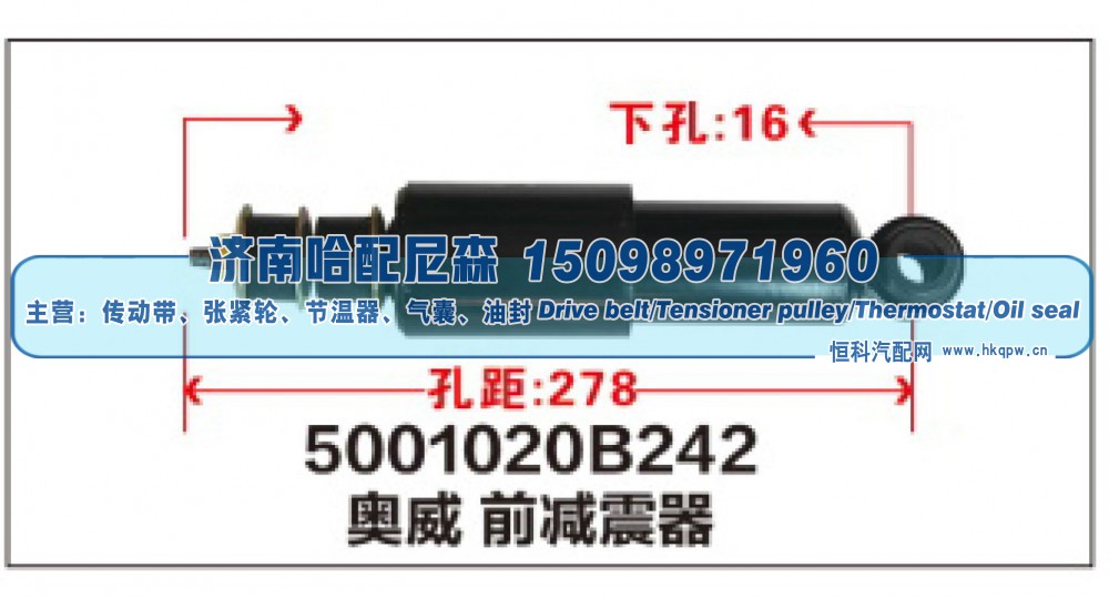 5001020B242,奥威 前减震器,济南哈配尼森汽车配件有限公司