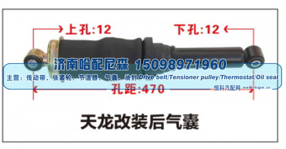 ,天龙改装后气囊,济南哈配尼森汽车配件有限公司