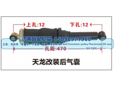 ,天龙改装后气囊,济南哈配尼森汽车配件有限公司