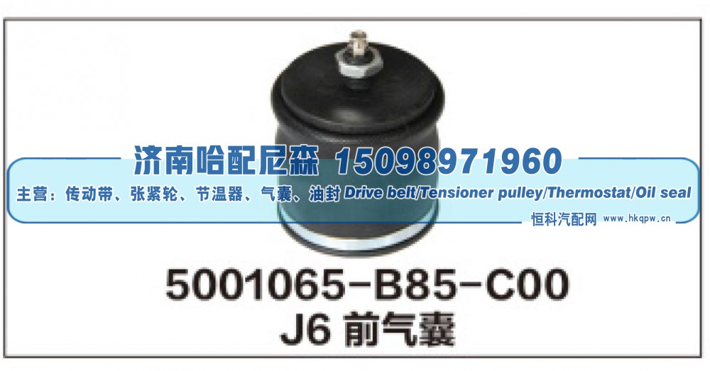 5001065-B85-C00,J6前气囊,济南哈配尼森汽车配件有限公司