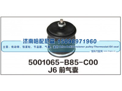 5001065-B85-C00,J6前气囊,济南哈配尼森汽车配件有限公司