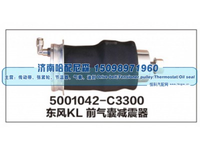 5001042-C3300,东风KL前气囊减震器,济南哈配尼森汽车配件有限公司