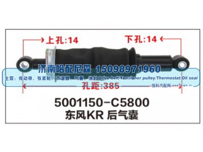 5001150-C5800,东风KR后气囊,济南哈配尼森汽车配件有限公司