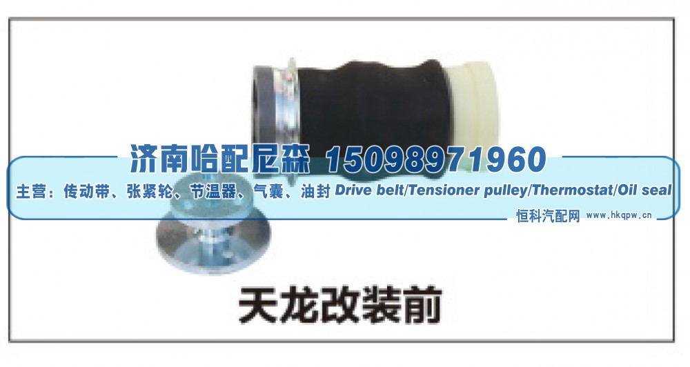 ,天龙改装前减震器,济南哈配尼森汽车配件有限公司