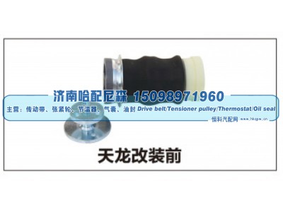 ,天龙改装前减震器,济南哈配尼森汽车配件有限公司