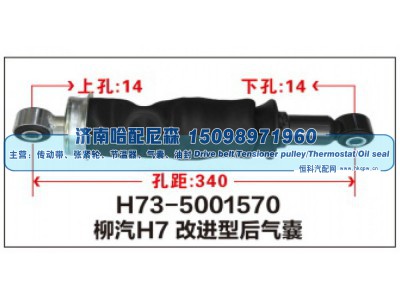 H73-5001570,柳汽H7改进型后气囊,济南哈配尼森汽车配件有限公司