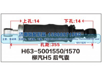 H63-5001550/1570,柳汽H5后气囊,济南哈配尼森汽车配件有限公司