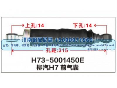 H73-5001450E,柳汽H7前气囊,济南哈配尼森汽车配件有限公司