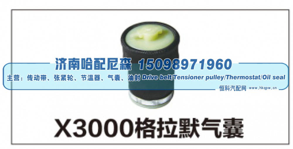 X3000格拉默气囊