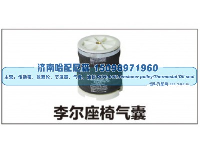 ,李尔座椅气囊,济南哈配尼森汽车配件有限公司