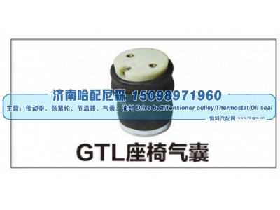 ,GTL座椅气囊,济南哈配尼森汽车配件有限公司