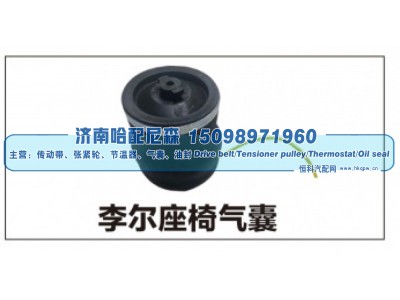 ,李尔座椅气囊,济南哈配尼森汽车配件有限公司