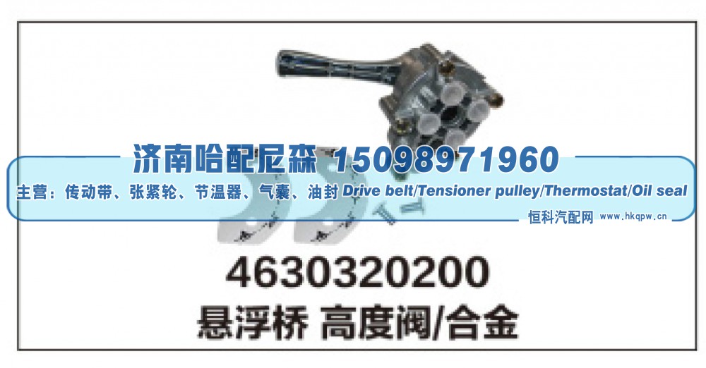 4630320200,悬浮桥高度阀/合金,济南哈配尼森汽车配件有限公司