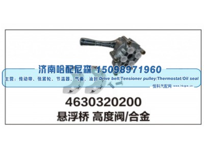 4630320200,悬浮桥高度阀/合金,济南哈配尼森汽车配件有限公司
