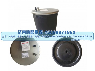 E4916P01,重卡 / 挂车空气弹簧（气囊）,济南哈配尼森汽车配件有限公司