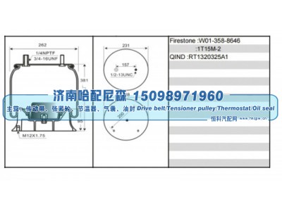 RT1320325A1,空气弹簧（气囊）,济南哈配尼森汽车配件有限公司