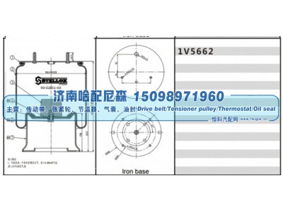 1V5662,空气弹簧,济南哈配尼森汽车配件有限公司