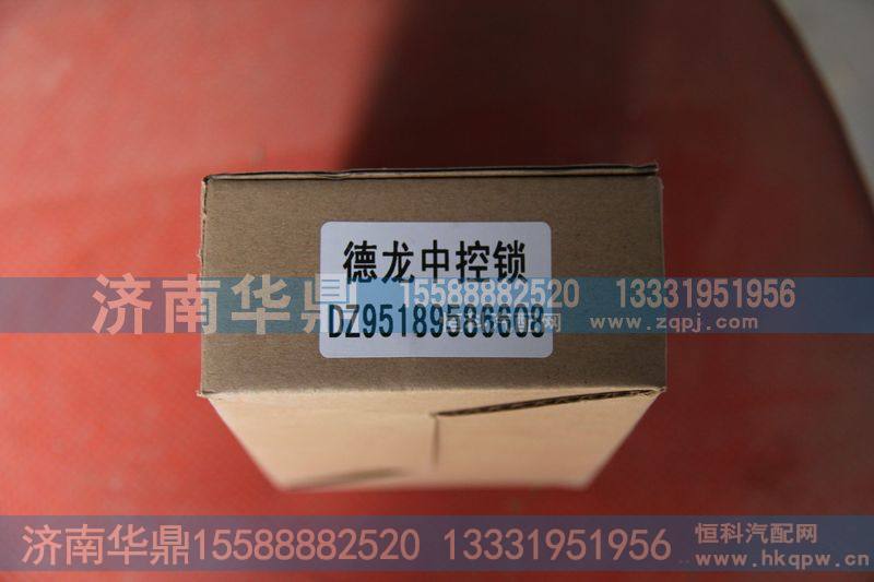 德龙中控锁DZ95189586608
