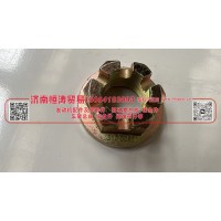 179000320013 STR角齿螺母 济南恒涛贸易有限公司