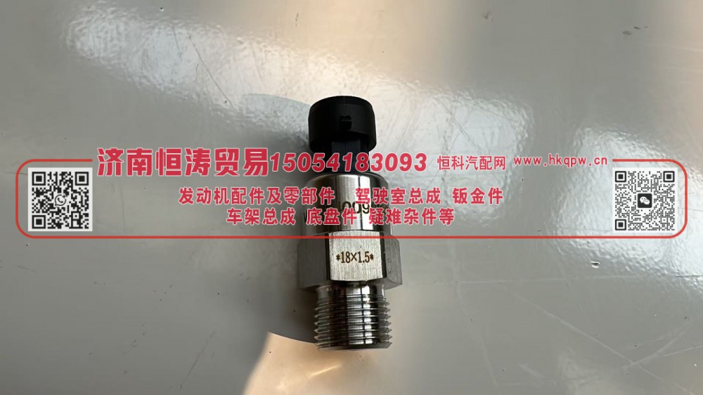 VG1540090035,VG1540090035   机油塞 欧3,济南恒涛贸易有限公司