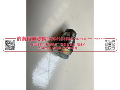 0281007707  泄压阀 济南恒涛贸易有限公司图3