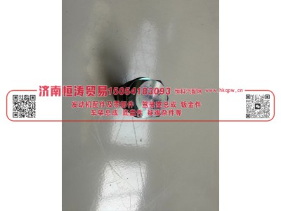 0281007707  泄压阀 济南恒涛贸易有限公司图2