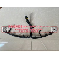 AZ100009000275 喷油器线束 济南恒涛贸易有限公司