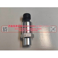 DZ97189711320 空滤器堵塞报警开关   济南恒涛贸易有限公司