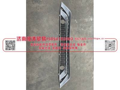 WG9525930227	保险杠下部装饰网   济南恒涛贸易有限公司图1