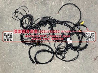 AZ9721777801,自卸车底盘电线束（双桥）,济南恒涛贸易有限公司