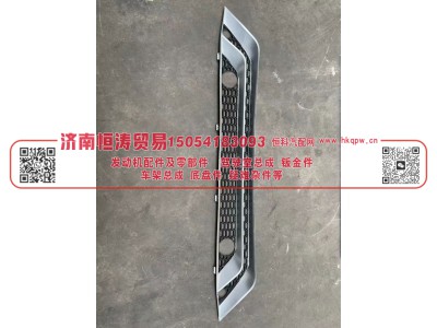 WG9525930227,保险杠下部装饰网,济南恒涛贸易有限公司