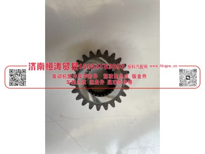 WG9012340005,太阳轮 (Z=23),济南恒涛贸易有限公司