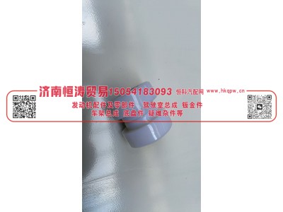 WG9925682107+002/9925680080,前稳定杆衬套 带铁筒(套）,济南恒涛贸易有限公司