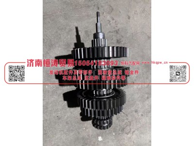 AZ2203040031,主轴带齿轮总成 (双六角键),济南恒涛贸易有限公司