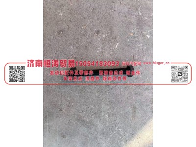 WG9003801090  (GWZ0100),六角头螺栓M10*90,济南恒涛贸易有限公司