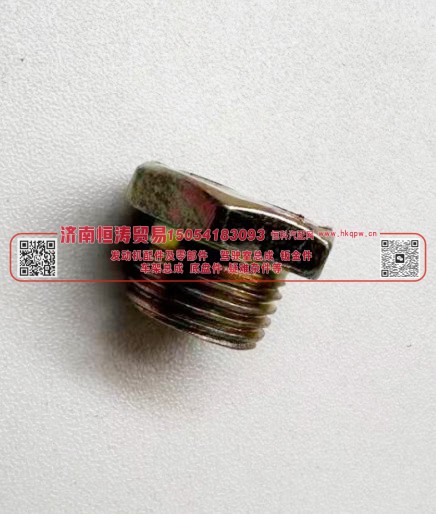 WG9000361011,堵塞NG8-M16×1.5,济南恒涛贸易有限公司