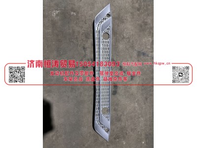 WG9525930227,保险杠下部装饰网,济南恒涛贸易有限公司