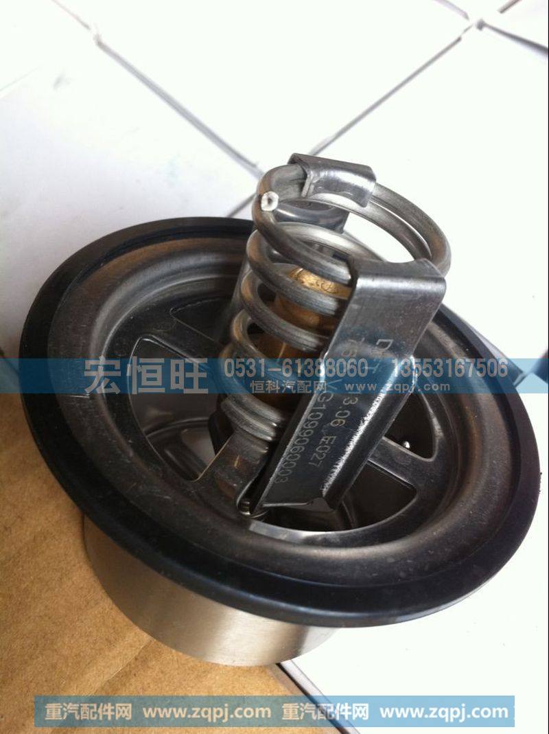 VG1099060003节温器芯75°