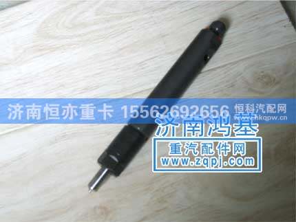 喷油器总成(35)VG0305ID-E071