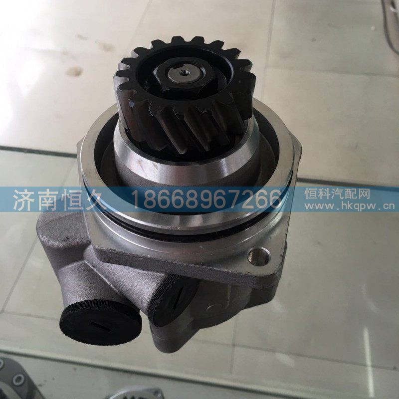 9619470080,转向泵、齿轮泵、转向助力泵,济南恒久汽车配件有限公司