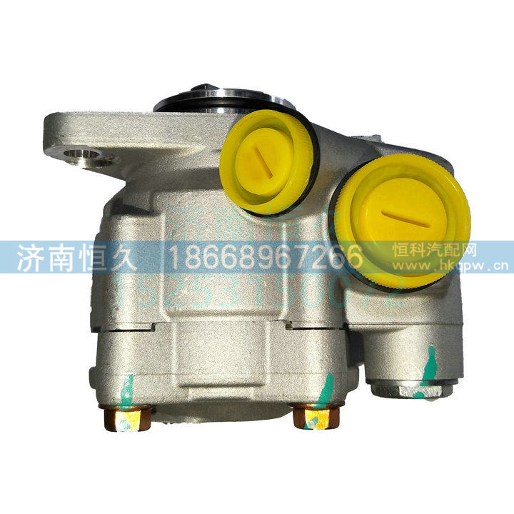 1000053936 T型十字轴转向泵助力泵/1000053936