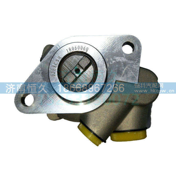 1000053936 T型十字轴转向泵助力泵/1000053936