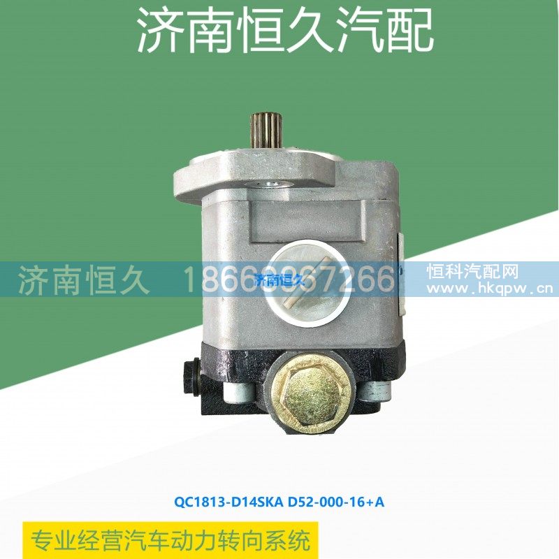 QC18/13-D14SKA D52-000-16+A,上柴6114齿轮泵,济南恒久汽车配件有限公司