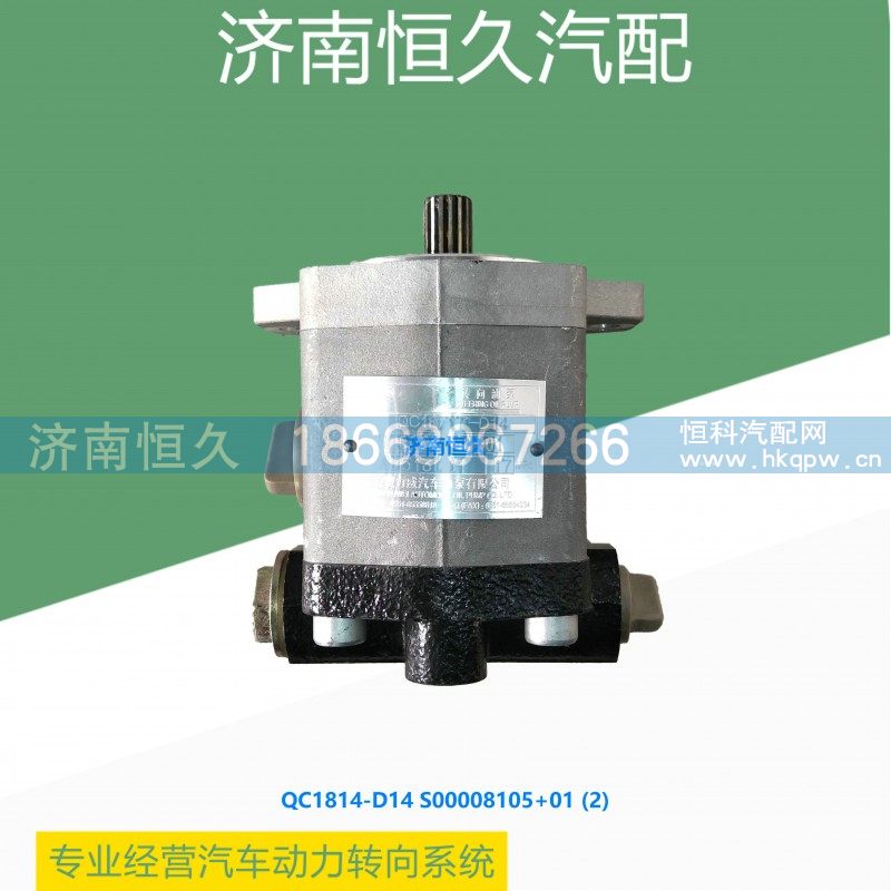 QC18/14-D14 S00008105+01,上柴D6114齿轮泵,济南恒久汽车配件有限公司