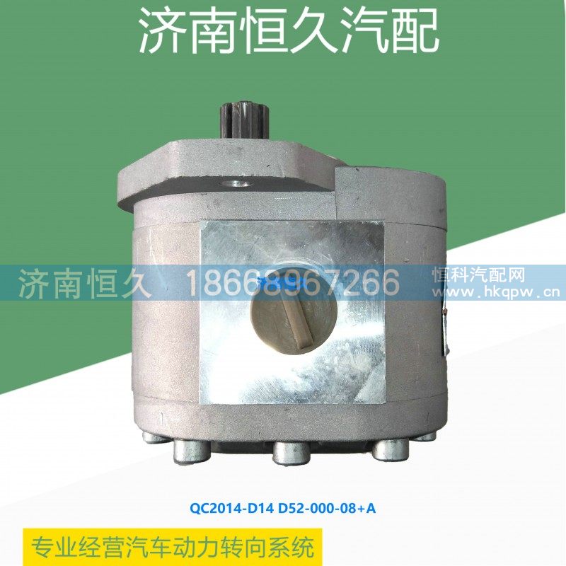 QC20/14-D14 D52-000-08+A,上柴6114（六齿）齿轮泵,济南恒久汽车配件有限公司