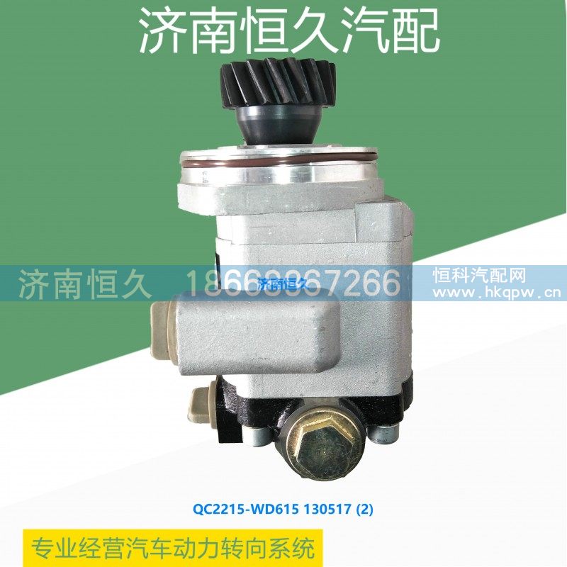 QC22/15-WD615 130517,潍柴WD615齿轮泵,济南恒久汽车配件有限公司